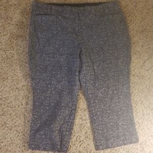 Lane Bryant Allie Dress Capris